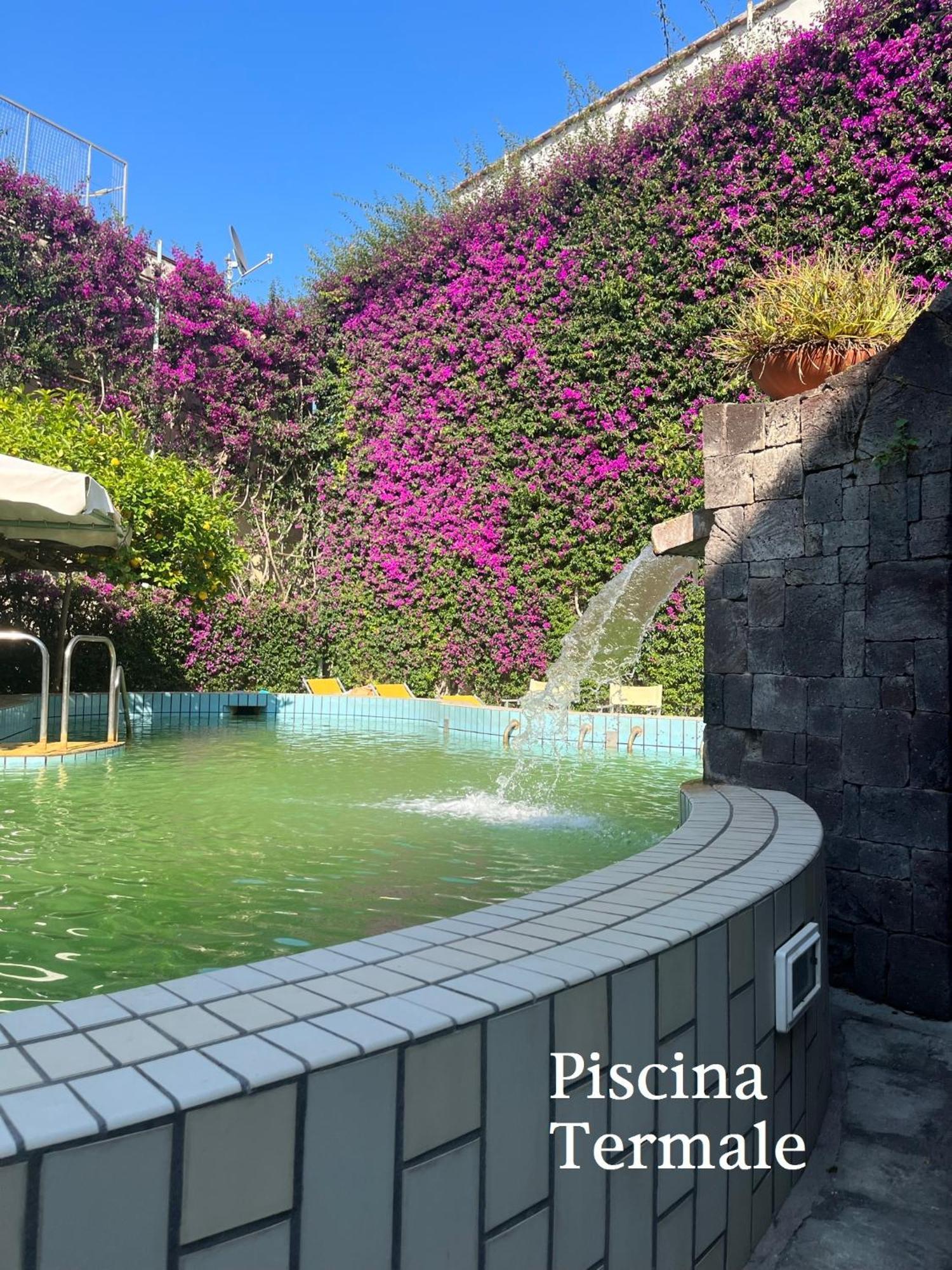Villa Ciccio Ischia Esterno foto