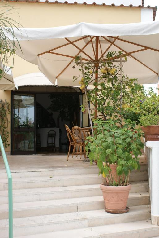 Villa Ciccio Ischia Esterno foto