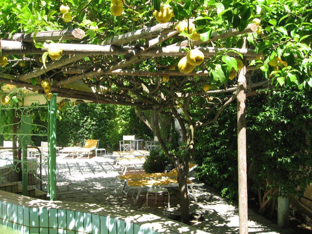 Villa Ciccio Ischia Esterno foto