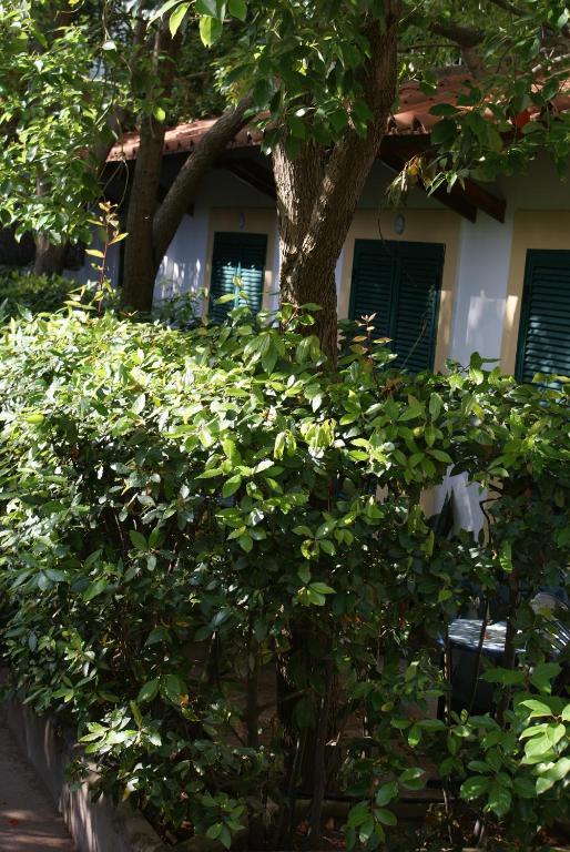 Villa Ciccio Ischia Esterno foto